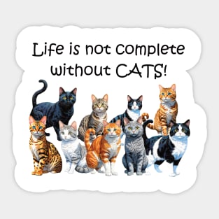 Life is not complete without cats - funny watercolour cat design, black cat, ginger cat, tabby, bengal, gray cat, lots of cats Sticker